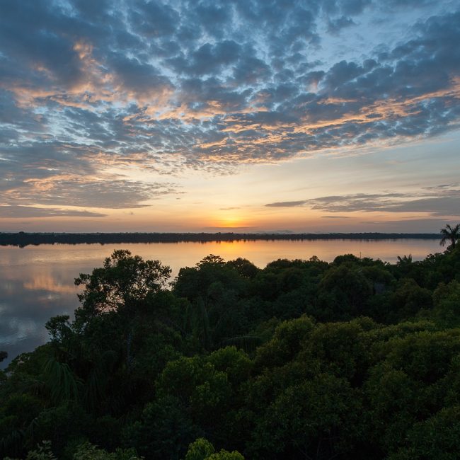 suset at anavilhanas in brazil