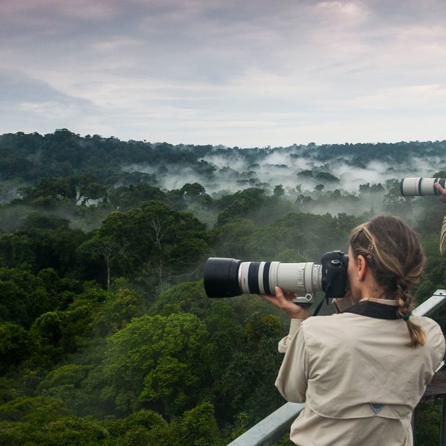 treetop views from cristalino lodge in brazil